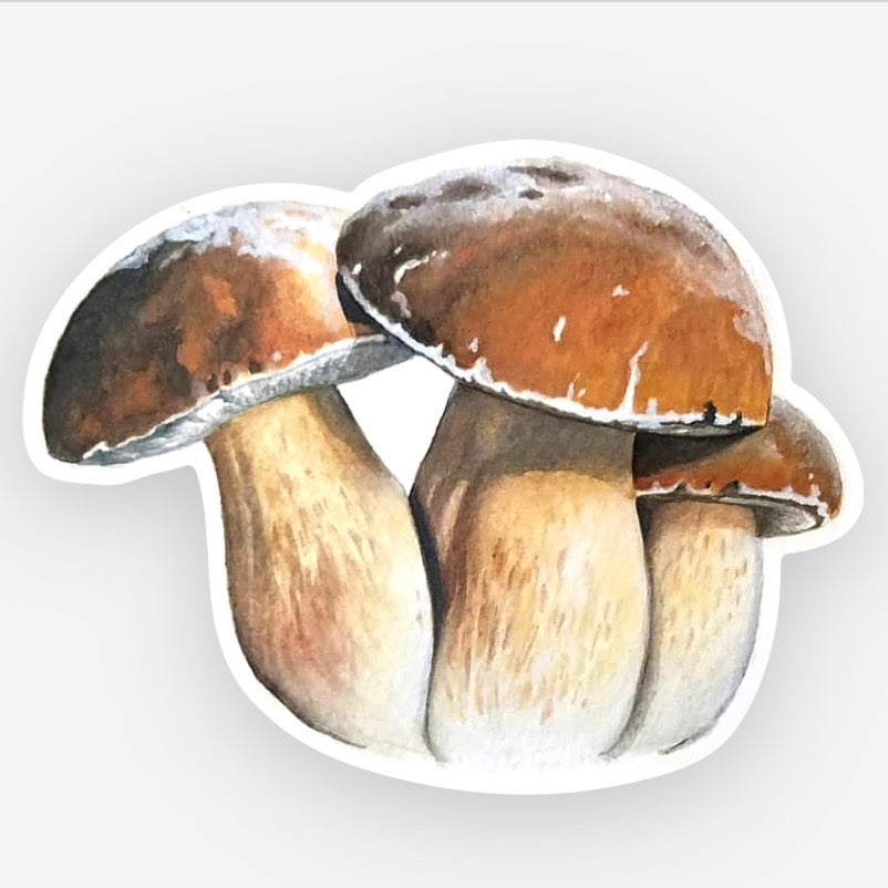 Bolete Mushrooms Vinyl Sticker