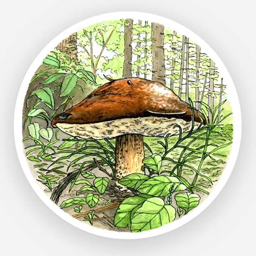 Bolete Forest Vinyl Sticker
