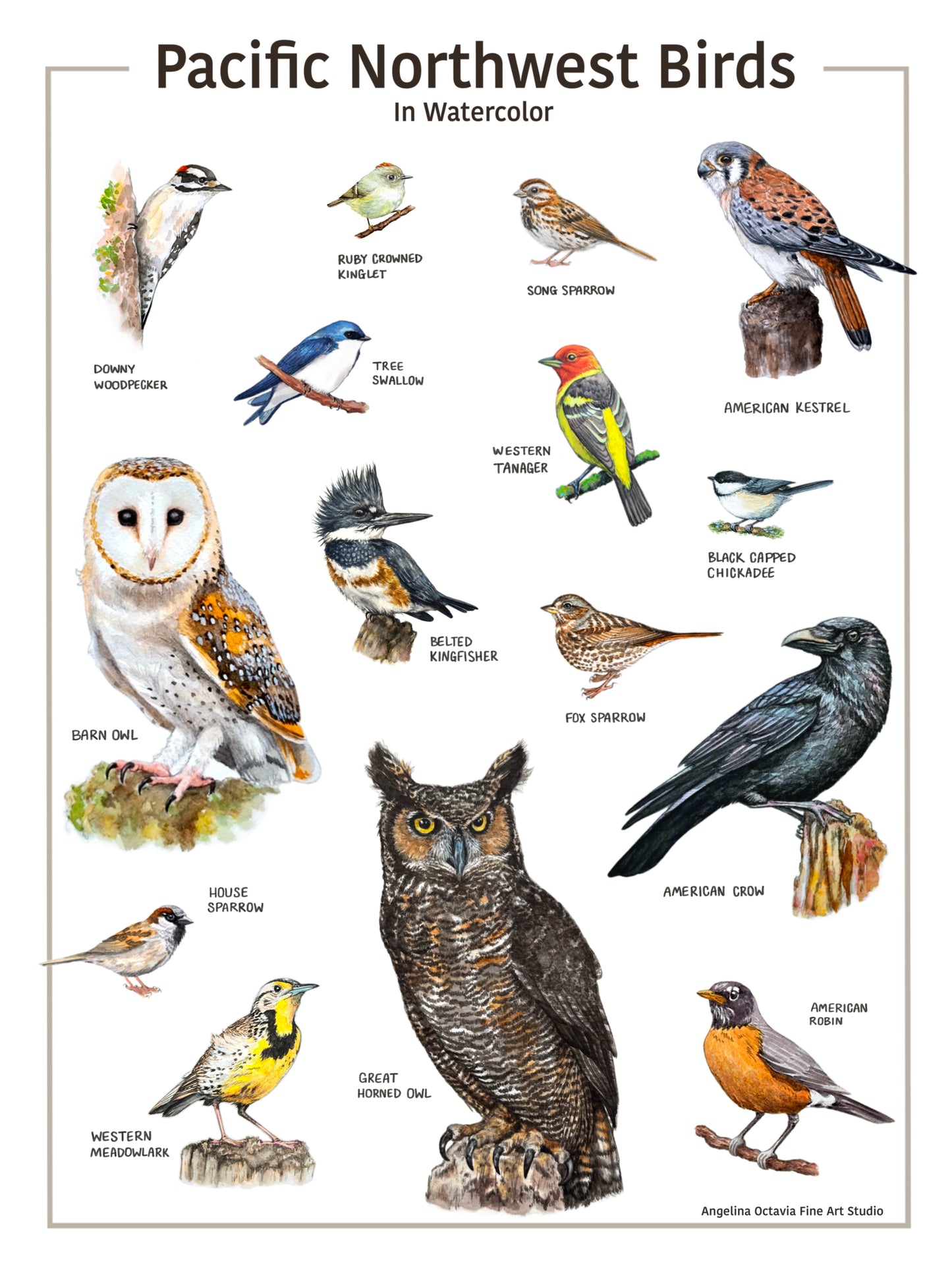 Pacific Northwest Bird Chart