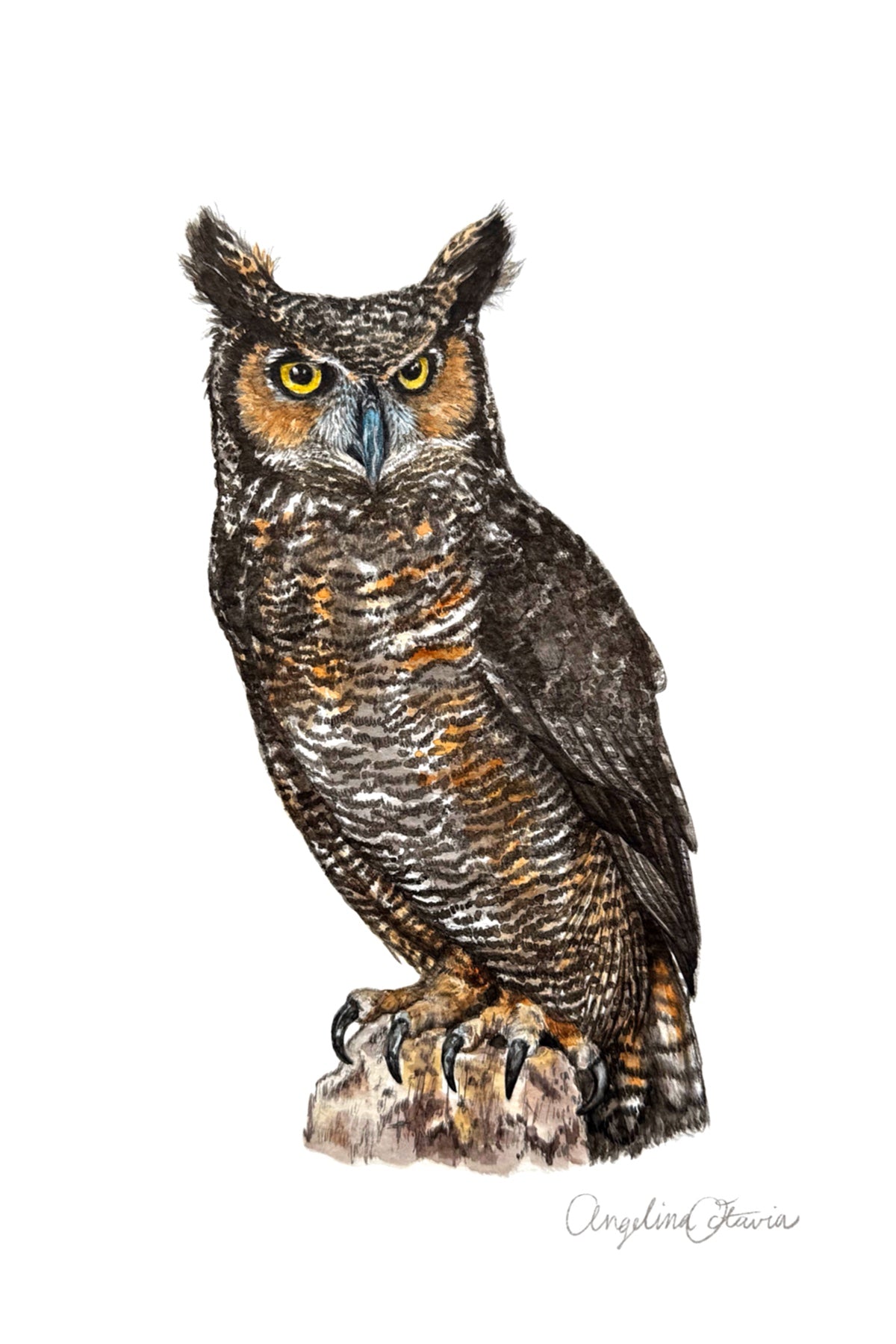 Great Horned Owl Card