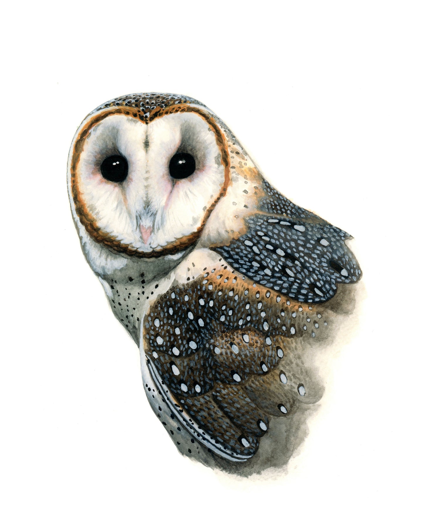 Barn Owl Card