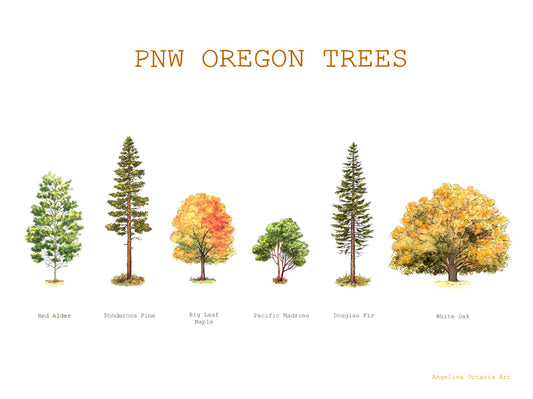 PNW Oregon Trees Print