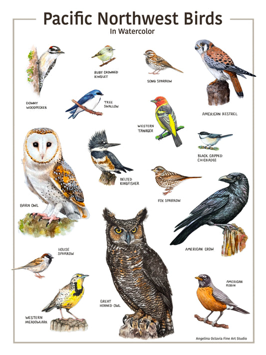 Pacific Northwest Bird Chart
