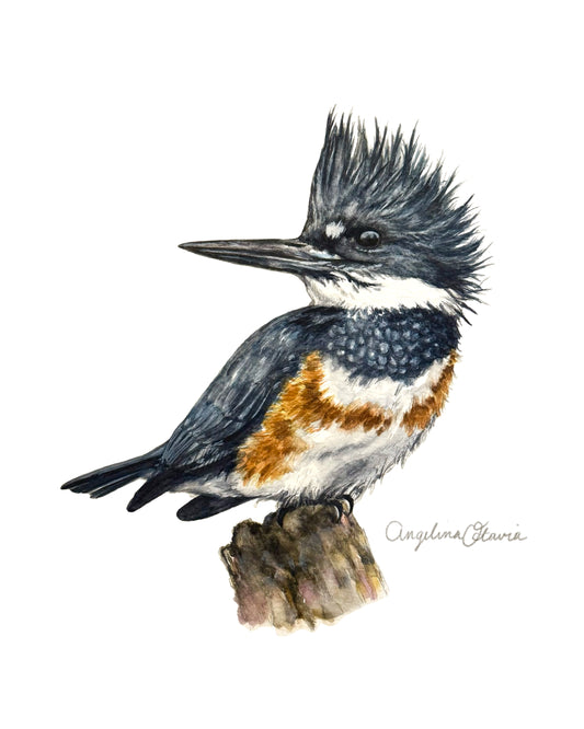 Kingfisher Print