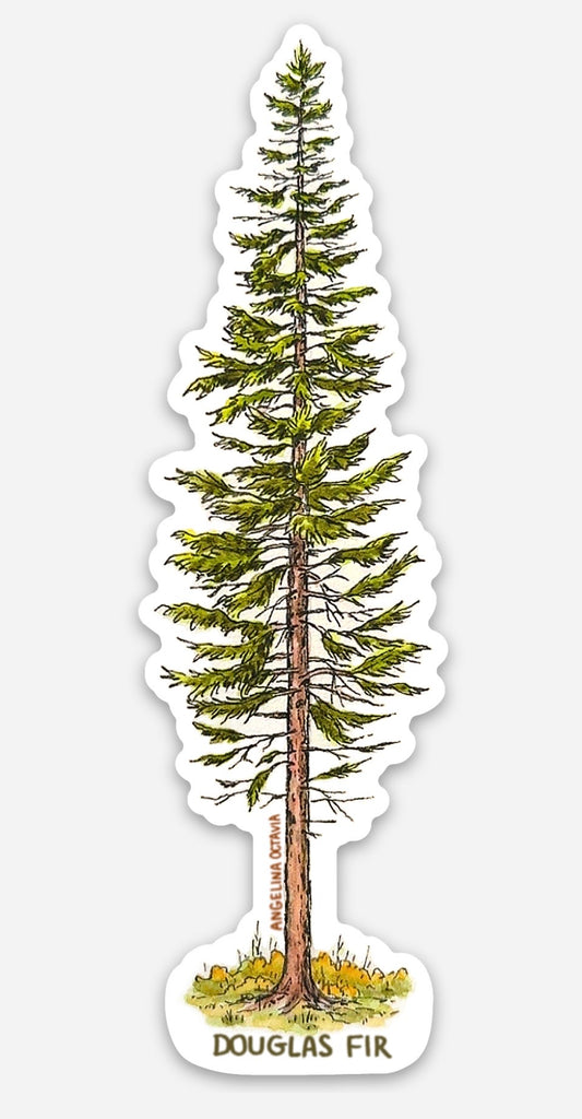 Douglas Fir Vinyl Sticker