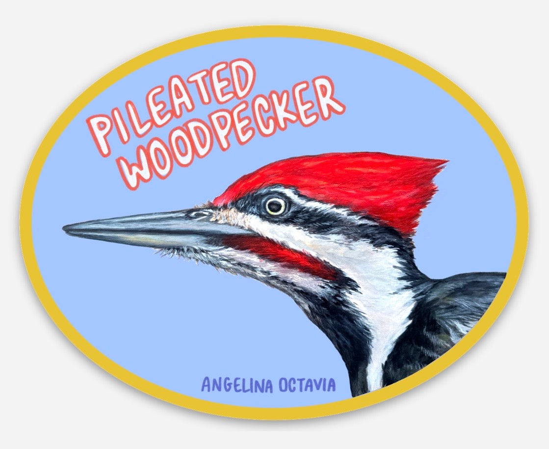 Pileated Woodpecker Vinyl Sticker